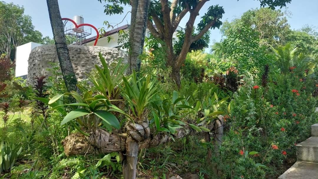 Matteo'S Hus Villa Rental Zamboanguita  Ngoại thất bức ảnh
